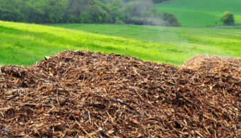 Les-avantages-de-l-energie-biomasse