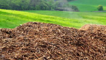 Les-avantages-de-l-energie-biomasse